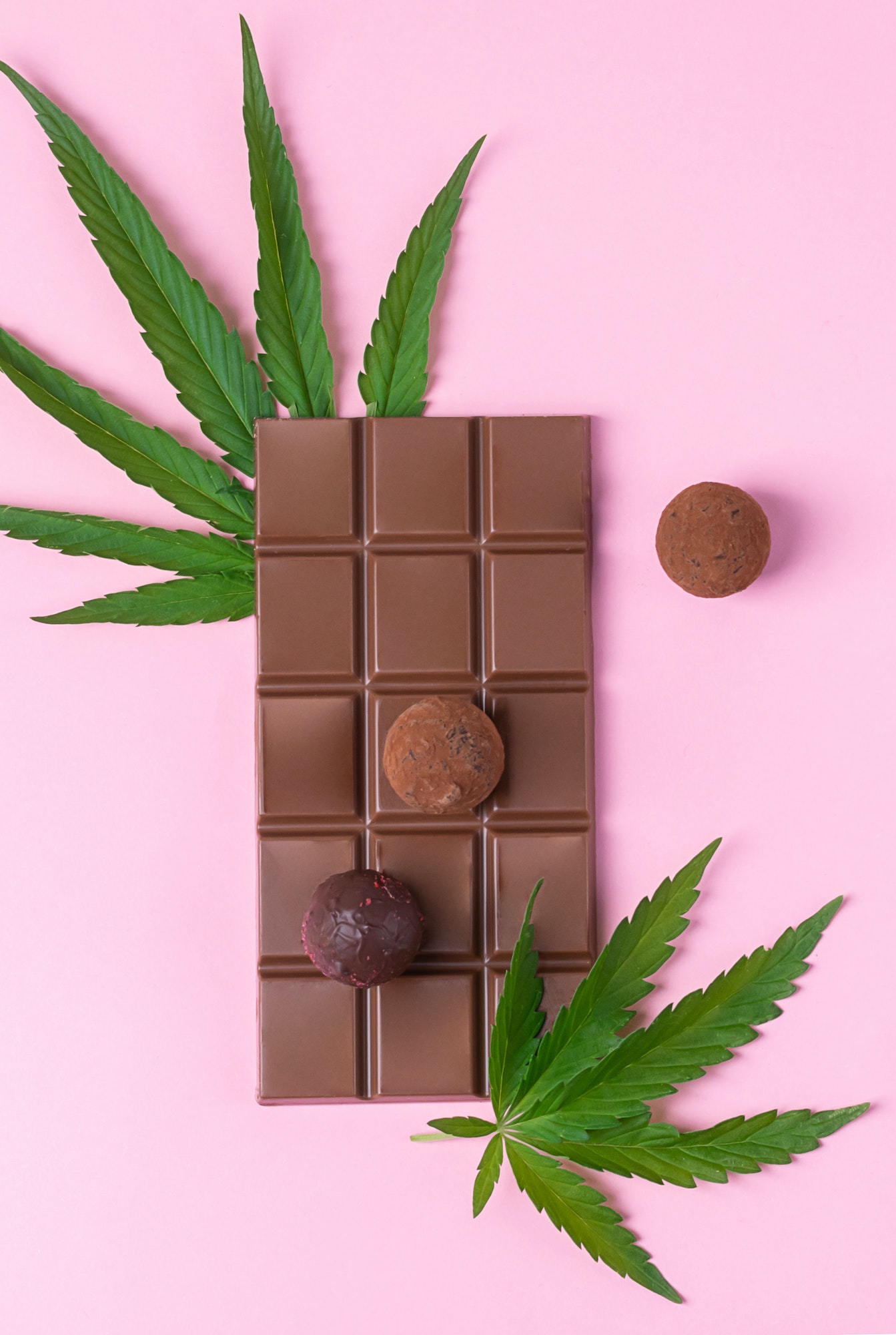 Chocolate whole bar candy cannabis leaf of fresh cannabis on pink background